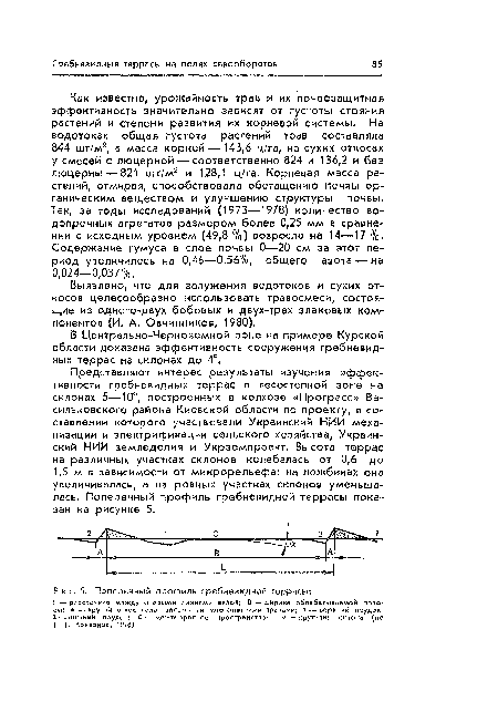 Поперечный профиль гребневидной террасы