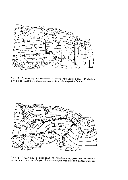 Параллельно-контурная организация территории пахотного массива в совхозе «Слава» Лебедянского района Липецкой области