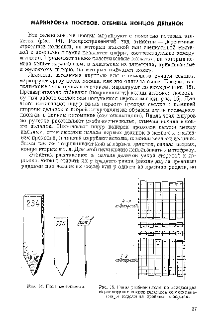 Делянки, засеянные вручную или с помощью ручной сеялки, маркируют сразу после посева, как это описано выше. Посевы, выполненные тракторными сеялками, маркируют по всходам (рие. 15). Предварительно отбивают (подравнивают) концы делянок, поскольку при работе сеялок они получаются неровными (см. рис. 15). Для этого натягивают шнур вдоль первого прохода сеялки с внешней стороны делянок и второй шнур таким же образом вдоль последнего прохода в данном питомнике (сортоиспытании). Вдоль этих шнуров по рулетке расставляют разбивочиые колья, отмечая начала и концы делянок. Натягивают шнур поперек проходов сеялки между кольями, отмечающими начала первых делянок в первом и последнем проходах, и тяпкой вырубают всходы, появившиеся вне делянок. Затем так же подравнивают концы первых делянок, начала вторых, концы вторых и т. д. Для этой цели можно использовать и мотофрезу.