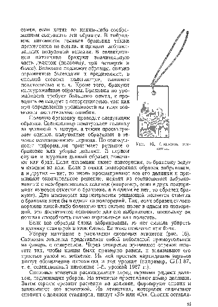 Уборку начинают с раскладки сноповых этикеток (рис. 16). Сноповая этикетка представляет собой небольшой прямоугольник из фанеры с отверстием. Через отверстие продевают отрезок шпагата так, чтобы концы были примерно равны, и завязывают его простым узлом на этикетке. На ней простым карандашом заранее пишут обозначение питомника и год урожая (например, СП-1-87, т. е. селекционный питомник 1-й, урожай 1987 г.).