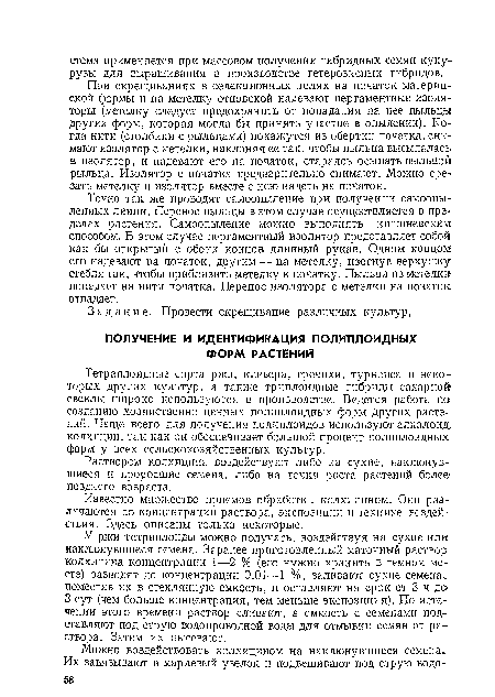 У ржи тетраплоиды можно получать, воздействуя на сухие или наклюнувшиеся семена. Заранее приготовленный маточный раствор-колхицина концентрации 1—2 % (его нужно хранить в темном месте) разводят до концентрации 0,01—1 %, заливают сухие семена, поместив их в стеклянную емкость, и оставляют на срок от 3 ч до 3 сут (чем больше концентрация, тем меньше экспозиция). По истечении этого времени раствор сливают, а емкость с семенами подставляют под струю водопроводной воды для отмывки семян от раствора. Затем их высевают.