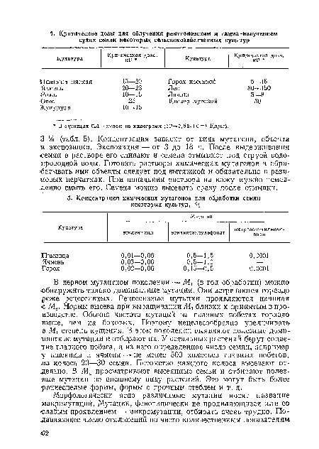 В первом мутантном поколении — Мг (в год обработки) можно •обнаружить только доминантные мутации. Они встречаются гораздо реже рецессивных. Рецессивные мутации проявляются начиная <е Ма. Нормы высева при выращивании близки к принятым в производстве. Обычно частота мутаций на главных побегах гораздо -выше, чем на боковых. Поэтому нецелесообразно увеличивать в М1 степень кущения. В этом поколении выявляют полезные доминантные мутации и отбирают их. У остальных растений берут соцветие главного побега, а из него определенное число семян, например у пшеницы и ячменя — не менее 500 колосьев главных побегов, яз колоса 20—30 семян. Потомство каждого колоса высевают отдельно. В М, просматривают высеянные семьи и отбирают полезлые мутации по внешнему виду растений. Это могут быть более раннеспелые формы, формы с прочным стеблем и т. д.