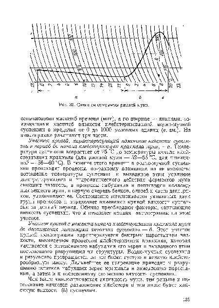 Схема амилограммы ржаной муки.