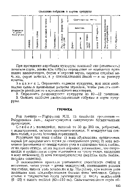 Различают три зоны стебля: 1) зона образования придаточных корней (от зародышевого корня до семядольного узла); 2) зона ветвления (начинается от семядольного узла и охватывает часть стебля, от которого отходят ветви первого порядка; установлено, что скороспелые и среднеспелые сорта отличаются по числу узлов, входящих в зону ветвления); 3) зона плодообразования (верхняя часть стебля, несущая соцветия).