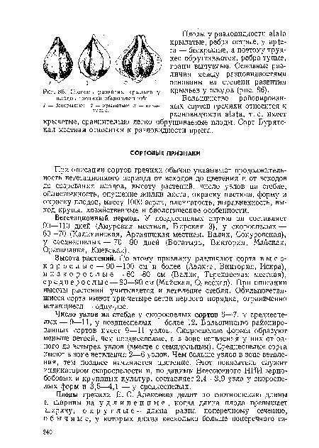 Степень развития крыльев плодов гречихи обыкновенной