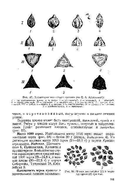 Характеристика плодов гречихи (по Е. А. Алексеевой)