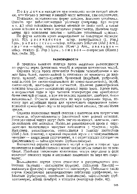 Признаки, определяющие форму метелки, довольно устойчивы. Однако при неблагоприятных условиях (например, при засухе и т. д.) угол отхождения веточек метелки от своих осей, а также длина метелки и ее ветвей несколько уменьшаются. Наличие подушечек при основании веточек — наиболее устойчивый признак.