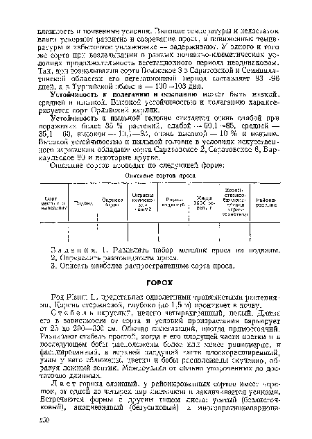 Род Р1зиш Ь. представлен однолетними травянистыми растениями. Корень стержневой, глубоко (до 1,5 м) проникает в почву.