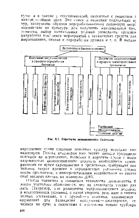 Стратегия использования биомассы