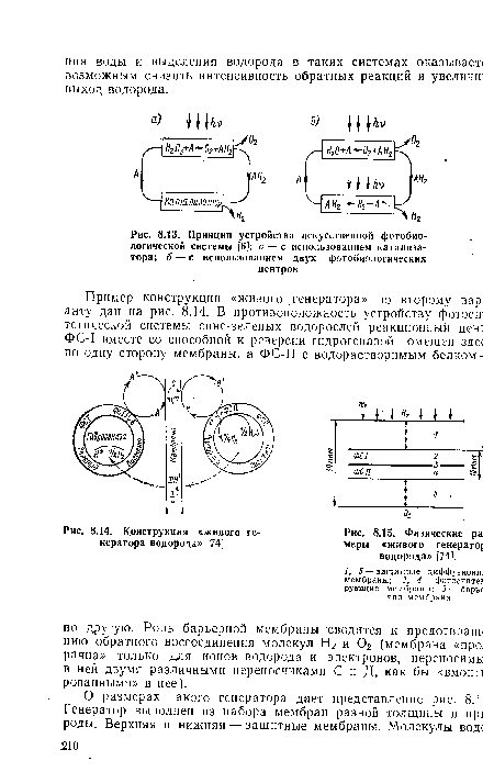 Принцип устройства искусственной фотобио-логической системы [6]