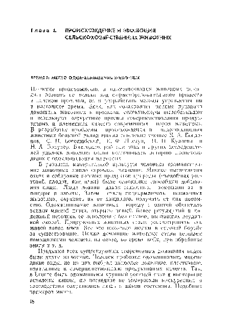 В развитии материальной культуры человека одомашнивание животных имело огромное значение. Многие тысячелетии охота и собирание готовых продуктов природы (съедобных растений, плодов, яиц птиц) были основными способами добывания пищи. Люди ловили диких животных, помещали их в пещеры п загоны. Затем стали подкармливать пойманных животных, охранять их от хищников, получать от них потомство. Одомашнивание животных наряду с охотой обогатило запасы мясной пищи, открыло новый, более регулярный и надежный источник ее пополнении без срывов, вызванных неудачной охотой. Прирученных животных стали рассматривать как живой запас мяса. Все это помогало людям в суровой борьбе за существование. Позже домашние животные стали верными помощниками человека на охоте, во время войн, при обработке земли и т. д.