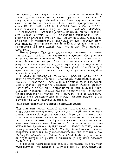 Под влиянием новых условий жизни, создаваемых человеком в процессе одомашнивания, происходили глубокие изменения признаков и свойств диких животных. В результате этого одомашнивания животные становятся со временем непохожими на своих диких предков. В силу пластичности ареал домашних животных более широкий. Они имеют большую изменчивость по важнейшим признакам продуктивности, телосложению, масти. Если у диких животных окраска преимущественно одноцветная, покровительственная, то у сельскохозяйственных животных она очень разнообразна: от темной до светлой и пегой у лошадей, от черно-пестрой до рыжей и вишневой у крупного рогатого скота и т. д.