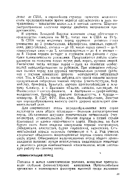 Для современного этапа породообразоваиия всех стран характерна одна общая тенденция — большое распространение пород, обладающих широким генетическим потенциалом (черно-пестрая, симментальская). Многие породы в нашей стране произошли от одного генетического корня, Например, на базе бурого скота были созданы следующие породы: костромская, лебединская, алатауская, бурая карпатская, кавказская. Симментальская порода породила сычевскую и т. д. Ряд ученых предлагает объединить малочисленные породы одного генетического корня. Объединение малочисленных пород общего происхождения позволит лучше использовать выдающихся животных и увеличить резерв комбинативной изменчивости, вести племенную работу по единому плану.