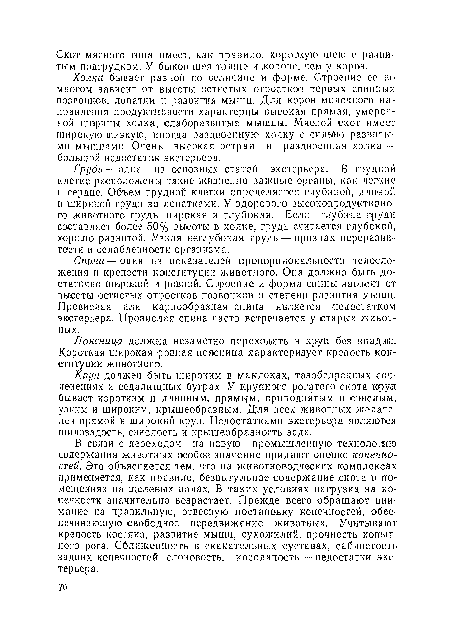 Поясница должна незаметно переходить в круп без впадин. Короткая широкая ровная поясница характеризует крепость конституции животного.