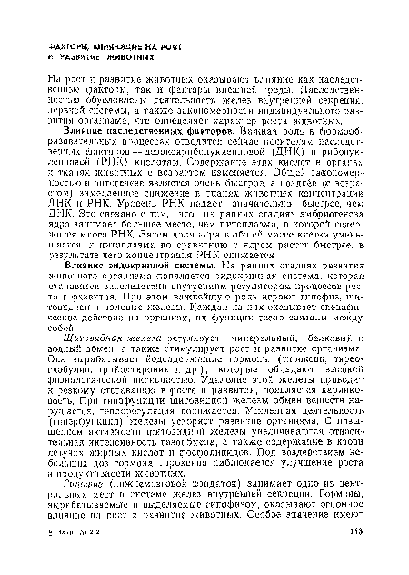 Щитовидная железа регулирует минеральный, белковый и водный обмен, а также стимулирует рост и развитие организма. Она вырабатывает йодсодержащие гормоны (тироксин, тирео-глобулин, трийодтиронин и др.), которые обладают высокой физиологической активностью. Удаление этой железы приводит к резкому отставанию в росте и развитии, появляется карликовость. При гипофункции щитовидной железы обмен веществ нарушается, теплорегуляция понижается. Усиленная деятельность (гиперфункция) железы ускоряет развитие организма. С повышением активности щитовидной железы увеличиваются относительная интенсивность газообмена, а также содержание в крови, летучих жирных «ислот и фосфолипидов. Под воздействием не- больших доз гормона тироксина наблюдается улучшение роста и продуктивности животных.