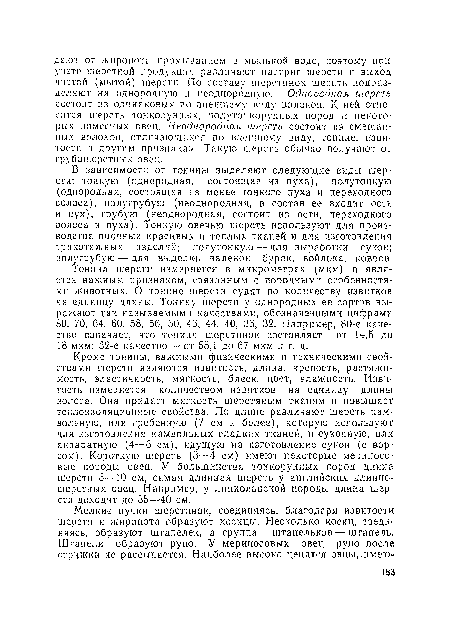 Тонина шерсти измеряется в микрометрах (мкм) и является важным признаком, связанным с породными особенностями животных. О тонине шерсгн судят по количеству извитков на единицу длины. Тонину шерсти у однородных ее сортов выражают так называемыми качествами, обозначенными цифрами 80, 70, 64, 60, 58, 56, 50, 46, 44, 40, 36, 32. Например, 80-е качество означает, что тонина, шерстинок составляет от 14,5 до 18 мкм; 32-е качество — от 55,1 до 67 мкм и т. д.