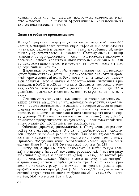 Сетку рядов прежде всего разделяют на материнскую (слева) и отцовскую (справа) половины родословной, В первом ряду записывают данные о родителях (отец и мать); во втором ряду— о четырех предках (бабки и деды по отцу п по матери); в третьем — о восьми предках (четыре прабабки и четыре прадеда); в четвертом ряду —о шестнадцати предках (восемь прапрабабок и восемь прапрадедов). Место каждого предка в родословной сокращенно обозначают буквами: М— мать, ОМ — отец матери, ММ — мать матери и т. д.