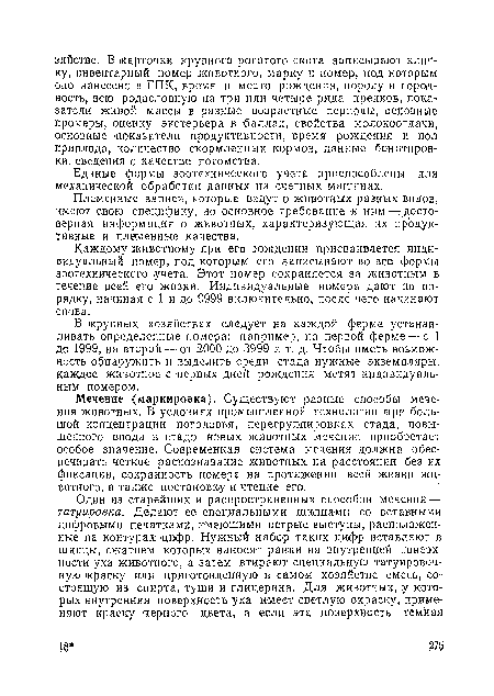 В крупных хозяйствах следует на каждой ферме устанавливать определенные номера: например, на первой ферме—-с 1 до 1999, на второй — от 2000 до 3999 и т. д. Чтобы иметь возможность обнаружить и выделить среди стада нужные экземпляры, каждое животное с первых дней рождения метят индивидуальным номером.