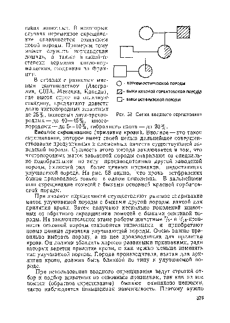 Схема вводного скрещивания