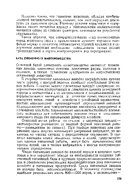 Основной метод работы со стадом в племенных заводах — чистопородное разведение (с высшей формой племенной работы— разведением по линиям). При подборе животных для спаривания здесь широко используют умеренный инбридинг, не исключая во многих случаях и неродственное спаривание. В процессе закладки новых заводских типов и линий, предусмотренных планом племенной работы, могут быть использованы как кроссы линий, так и тесные инбридинги, а иногда воспроизводительное скрещивание.