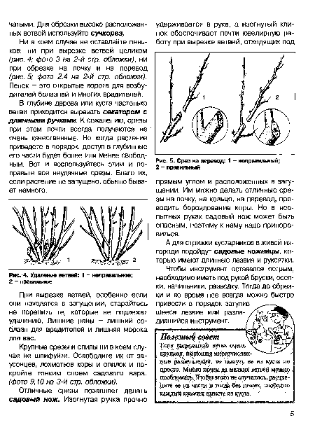 Удаление ветвей