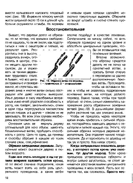 Обрезка ветви на перевод