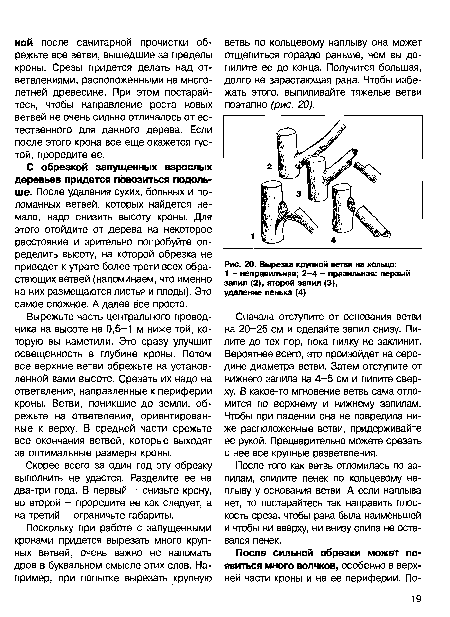 Вырезка крупной ветви на кольцо
