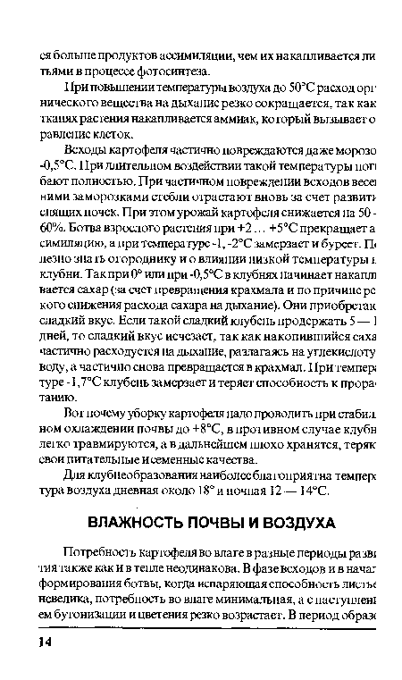 Вот почему уборку картофеля надо проводить при сгабил] ном охлаждении почвы до +8°С, в противном случае клубн легко травмируются, а в дальнейшем плохо хранятся, теряк свои питательные и семенные качества.