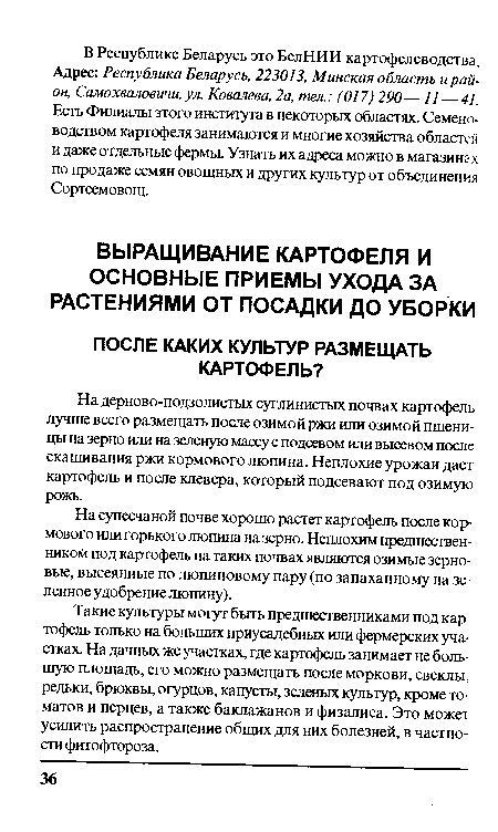 На супесчаной почве хорошо растет картофель после кормового или горького люпина на зерно. Неплохим предшественником под картофель на таких почвах являются озимые зерновые, высеянные по люпиновому пару (по запаханному на зеленное удобрение люпину).