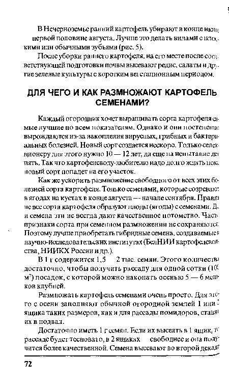 Каждый огородник хочет выращивать сорта картофеля самые лучшие по всем показателям. Однако и они постепенно вырождаются из-за накопления вирусных, грибных и бактериальных болезней. Новый сорт создается нескоро. Только селек-ционеру для этого нужно 10 — 12 лет, да еще на испытание лет пять. Так что картофелеводу-любителю надо долго ждать пока новый сорт попадет на его участок.