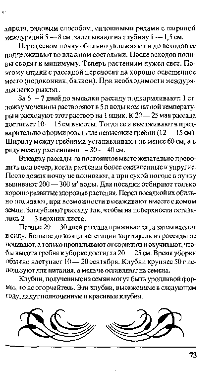 Высадку рассады на постоянное место желательно проводить под вечер, когда растения более оживленные и упругие. После дождя почву не поливают, а при сухой погоде в лунку выливают 200 — 300 м3 воды. Для посадки отбирают только хорошо развитые здоровые растения. Перед посадкой их обильно поливают, при возможности высаживают вместе с комом земли. Заглубляют рассаду так, чтобы на поверхности оставались 2— 3 верхних листа.