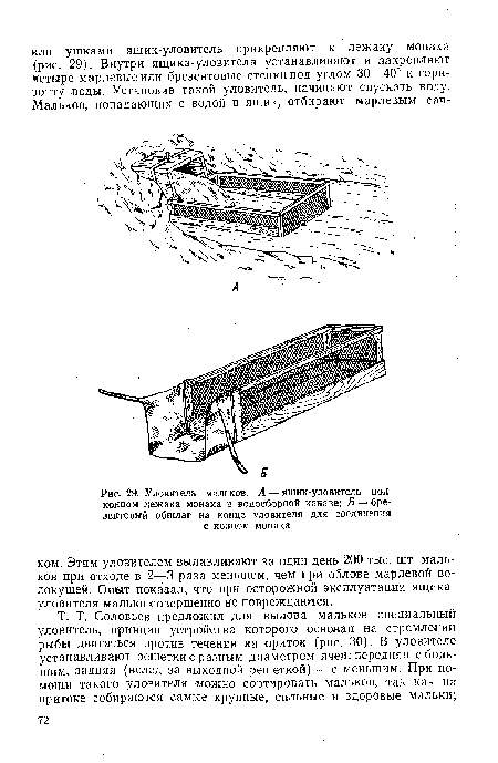 Уловитель мальков. А — ящик-уловитель под конном лежака монаха в водосборной канаве; Б — брезентовый обшлаг на конце уловителя для соединения с концом монаха