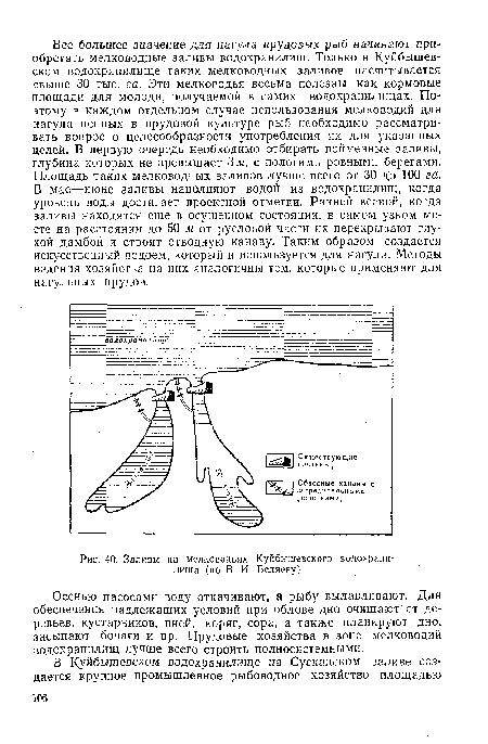 Заливы на мелководьях Куйбышевского водохранилища (по В. И. Беляеву)