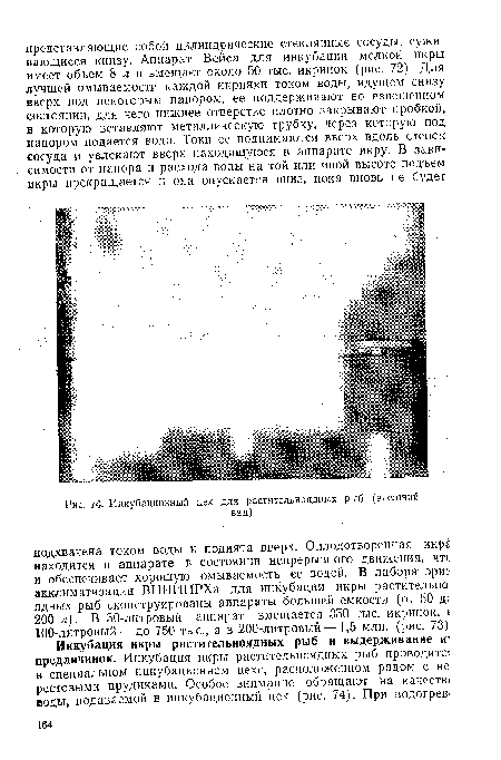 Инкубационный цех для растительноядных рыб (внешний