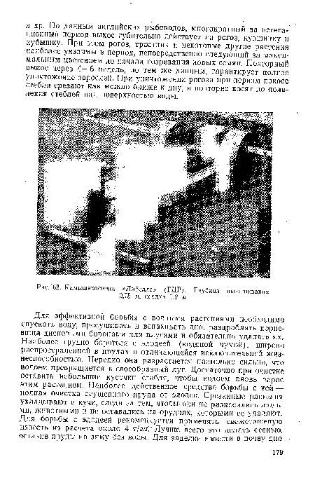 Камышекосилка «Либелда» (ГДР). Глубина выкашивания 0,75 м, осадка 0,2 м