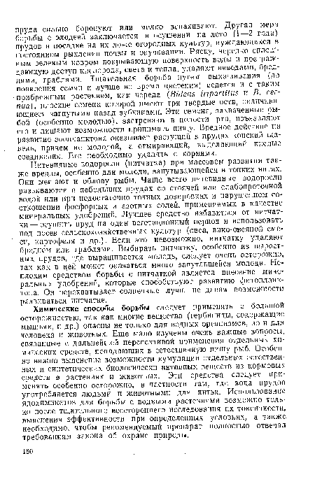 Нитевидные водоросли (нитчатка) при массовом развитии также вредны, особенно для молоди, запутывающейся в тонких нитях. Они мешают и облову рыбы. Чаще всего нитевидные водоросли развиваются в небольших прудах со стоячей или слабопроточной водой или при недостаточно точных дозировках и нарушенном соотношении фосфорных и азотных солей, применяемых в качестве минеральных удобрений. Лучшее средство избавиться от нитчатки — осушить пруд на один вегетационный период и использовать под посев сельскохозяйственных культур (овса, вико-овсяной смеси, картофеля и др.). Если это невозможно, нитчатку удаляют бреднем или граблями. Выбирать нитчатку, особенно из выростных прудов, где выращивается молодь, следует очень осторожно, так как в ней может оказаться много запутавшейся молоди. Неплохим средством борьбы с нитчаткой является внесение минеральных удобрений, которые способствуют развитию фитопланктона. Он перехватывает солнечные лучи, не давая возможности развиваться нитчатке.