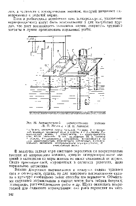 Автоматический кормораздатчик системы -В. П. Михеепа и П. В. Михеева