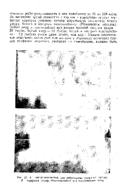 А — неподготовленный для рйбоводства торфяной карьер; Б — торфяной карьер, подготовленный для выращивания рыбы