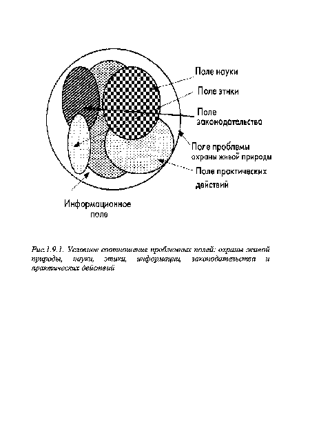 Условное соотношение проблемных полей