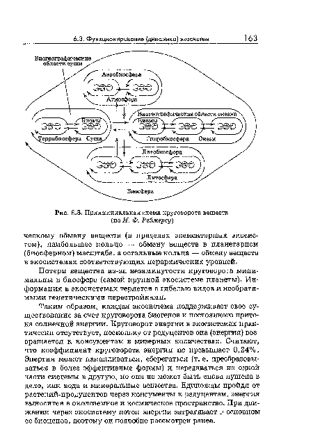 Принципиальная схема круговорота веществ (по Н. Ф. Реймерсу)