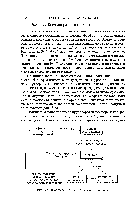 Структурная схема круговорота фосфора