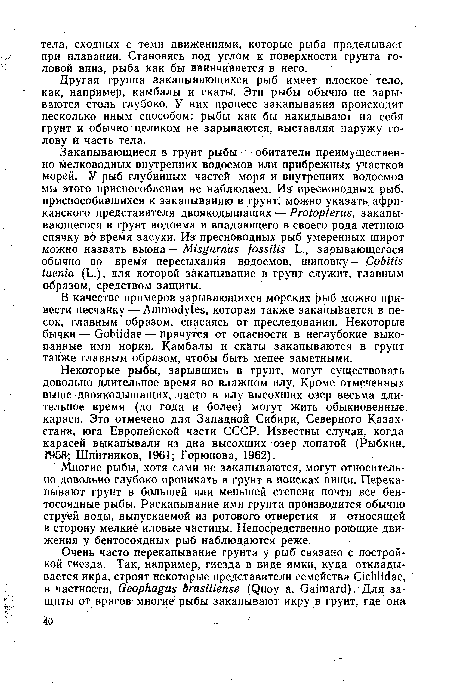 Некоторые рыбы, зарывшись в грунт, могут существовать довольно длительное время во влажном илу. Кроме отмеченных выше двоякодышащих, часто в илу высохших озер весьма длительное время (до года и более) могут жить обыкновенные, караси. Это отмечено для Западной Сибири, Северного Казахстана, юга Европейской части СССР. Известны случаи, когда карасей выкапывали из дна высохших озер лопатой (Рыбкин, Г958; Шн итников, 1961; Горюнова, 1962).