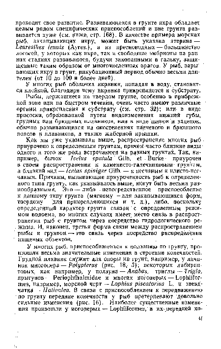 У многих рыб оболочка икринки, попадая в воду, становится клейкой, благодаря чему икринка прикрепляется к субстрату.