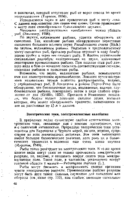 Рыбы тонко реагируют на электрические токи. В то же время многие виды могут сами не только производить электрические разряды, но, видимо, и создавать вокруг своего тела электромагнитное поле. Такое Поле, в частности, установлено вокруг головной области у миноги — Petromyzon matinus (L.).