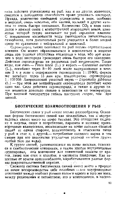 Биотические связи у рыб также весьма разнообразны. Основные формы биотических связей как межвидовых, так и внутривидовых имеют место на почве питания. Это отношения хищника и жертвы, пищи и потребителя, паразита и хозяина; противоречивые взаимосвязи, возникающие на почвё питания сходной пищей (с одной стороны, взаимопомощь в отыскании пищи у рыб в стае и, с другой,— потребление сходного корма и тем самым при его недостатке ухудшение условий питания других особей того же вида).