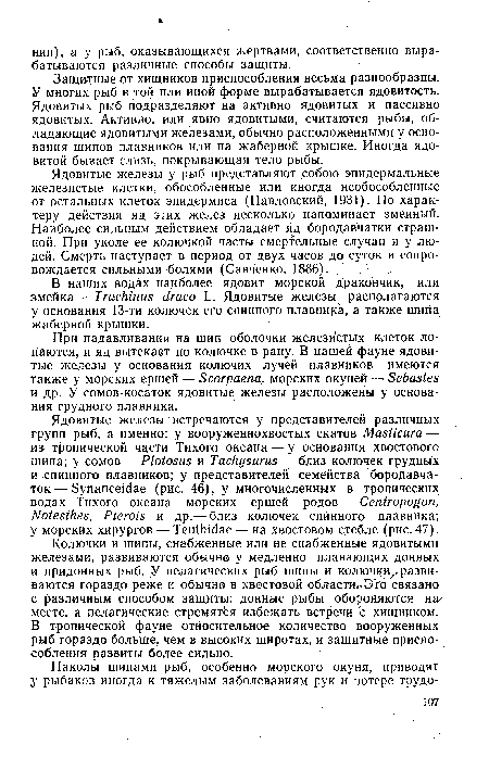 Ядовитые железы у рыб представляют собою эпидермальные железистые клетки, обособленные или иногда необособленные от остальных клеток эпидермиса (Павловский, 1931). По характеру действия яд этих желез несколько напоминает змеиный. Наиболее сильным действием обладает яд бородавчатки страшной. При уколе ее колючкой часты смертельные случаи и у людей. Смерть наступает в период от двух часов до суток и сопровождается сильными болями (Савченко, 1886).