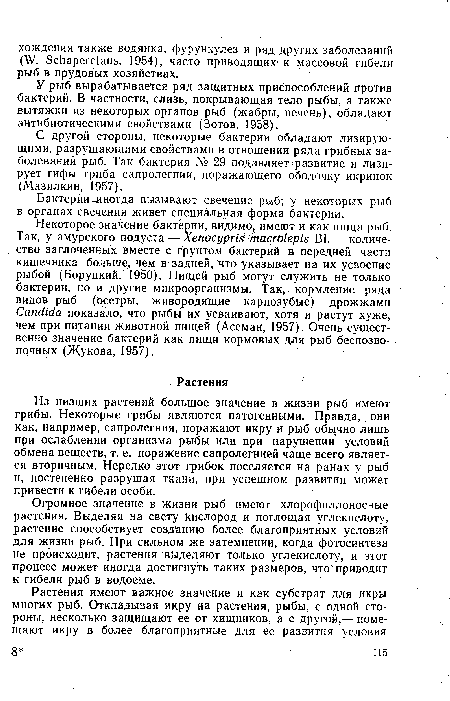 Огромное значение в жизни рыб имеют хлорофиллоносные растения. Выделяя на свету кислород и поглощая углекислоту, растение способствует созданию более благоприятных условий для жизни рыб. При сильном же затемнении, когда фотосинтеза не происходит, растения выделяют только углекислоту, и этот процесс может иногда достигнуть таких размеров, что приводит к гибели рыб в водоеме.