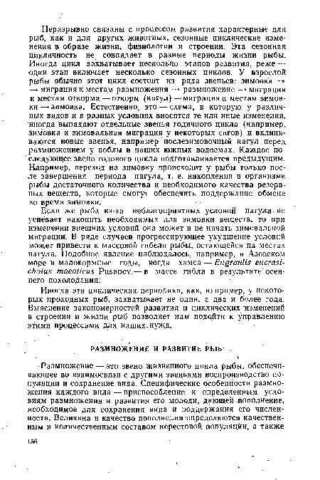 Иногда эта циклическая периодика, как, например, у некоторых проходных рыб, захватывает не один, а два и более года. Выяснение закономерностей развития и циклических "изменений в строении и жизни рыб позволяет нам подойти к управлению этими процессами для наших, нужд.