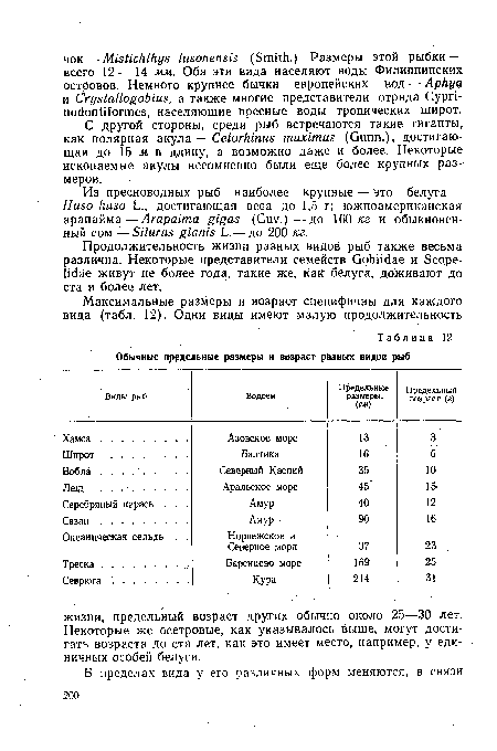 С другой стороны, среди рыб встречаются такие гиганты, как полярная акула — Cetorhinus maximus (Gunn.), достигающая до 15 м в длину, а возможно даже и более. Некоторые ископаемые акулы несомненно были еще более крупных размеров.