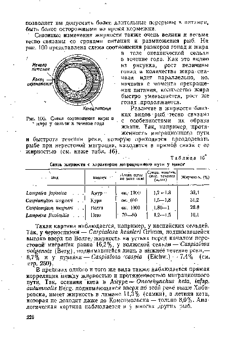 Схема соотношения икры и “ жира у сельди в течение года